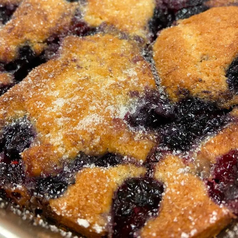 Blackberry cobbler with a sugared crust, fresh out of the pan